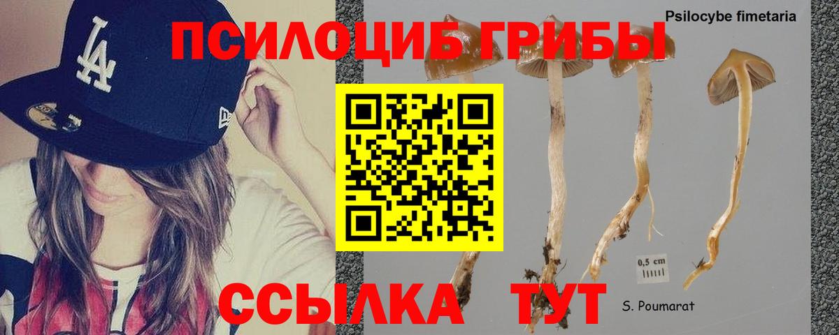 Галлюциногенные грибы мухоморы Кировск
