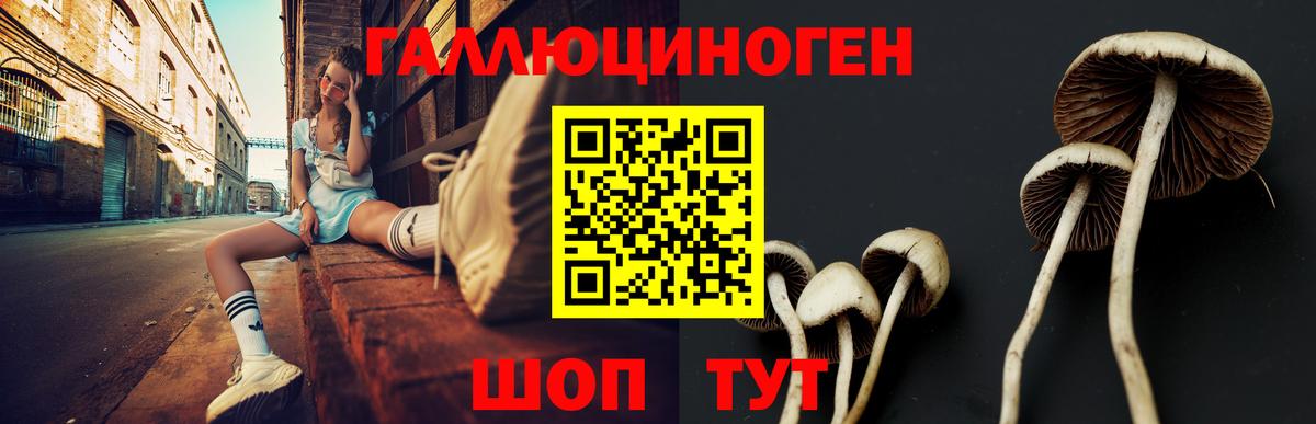 Галлюциногенные грибы ЛСД  Вход с VPN  Кировск  Галлюциногенные грибы GOLDEN TEACHER 